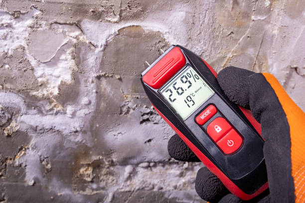 Best Crawl Space Mold Removal  in Swansboro, NC