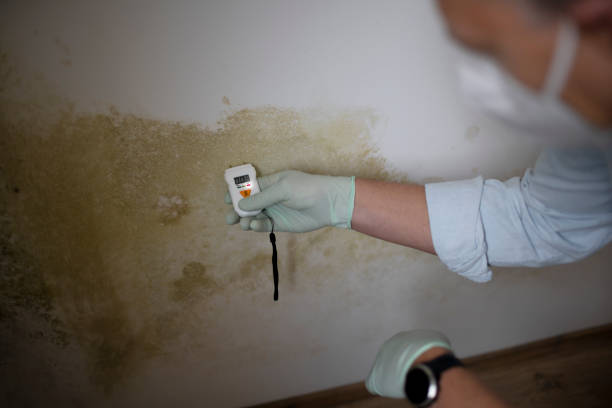 Best Mold Removal Process  in Swansboro, NC