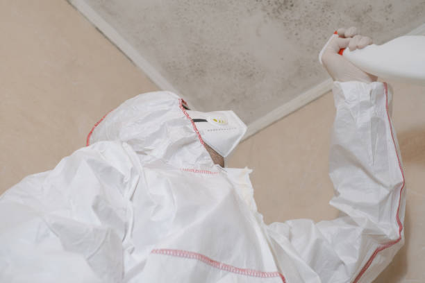 Best Attic Mold Removal  in Swansboro, NC