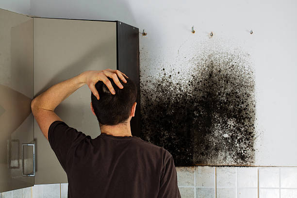 Mold Removal Process in Swansboro, NC